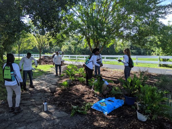 2019 Apprentices building a pollinator garden