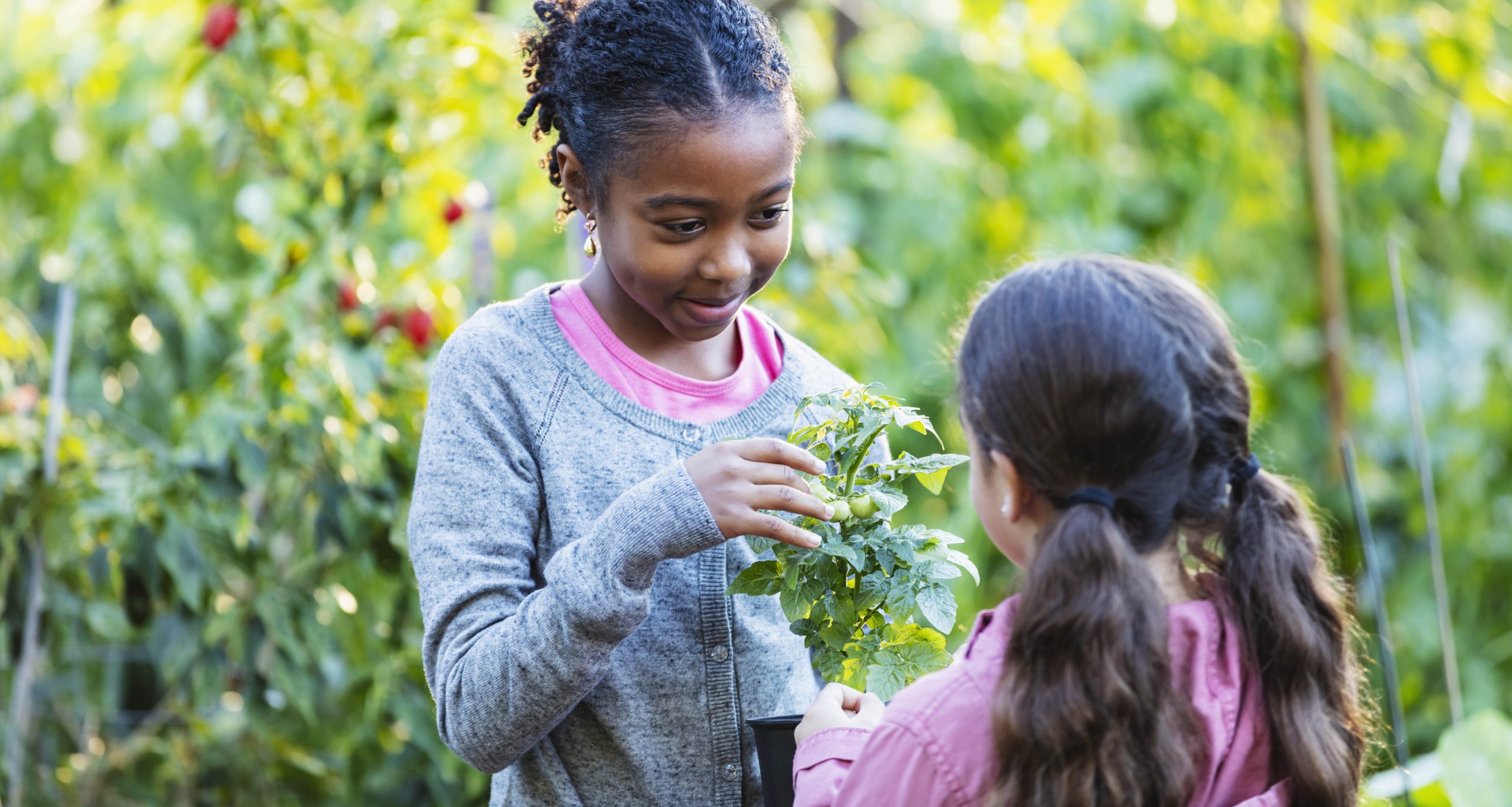 project-one-health-groundwork-jacksonville
