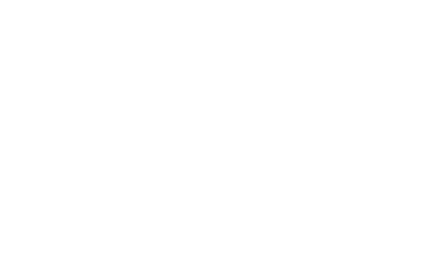 Jessie Ball dupont fund